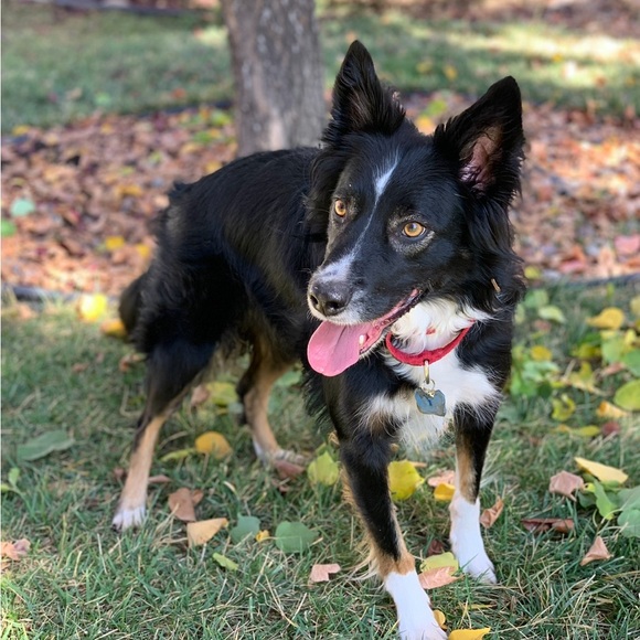 Meet your Posher, Meg! - Picture 4 of 5